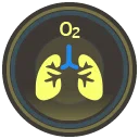 Oxygen Control