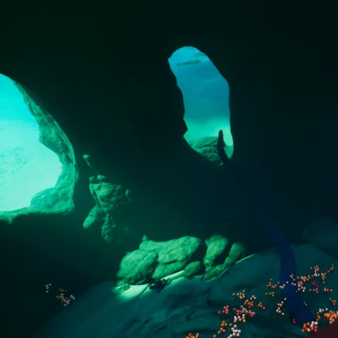 Blighted Coral biome in Subnautica 2