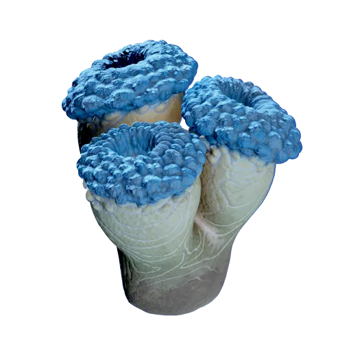 False Fission Drum