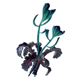 Freesia Flower