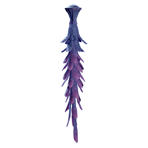 Jelly Lei