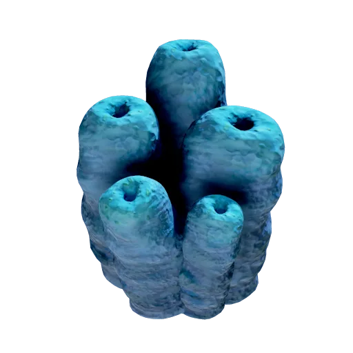 Toxic Sponge